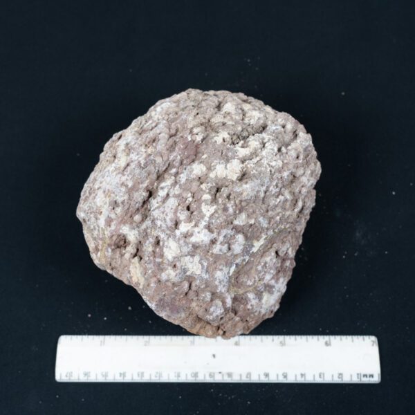Black Rock Thunderegg