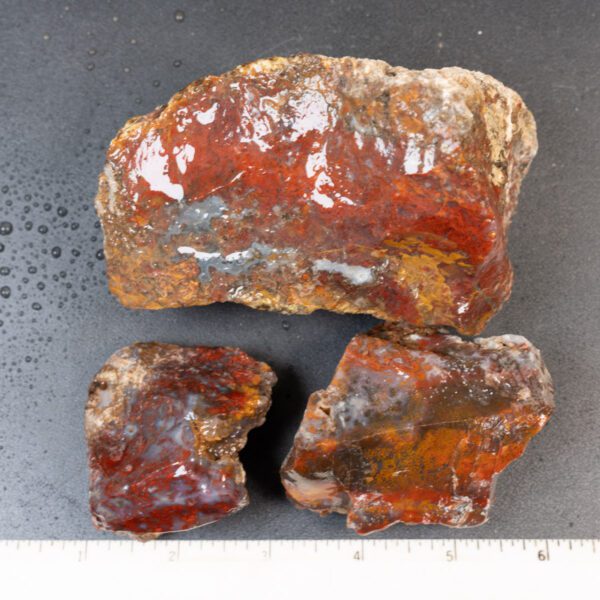 Cathedral Agate Rough