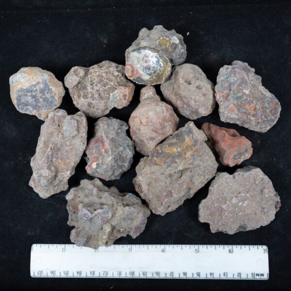 Condor Agate Nodules
