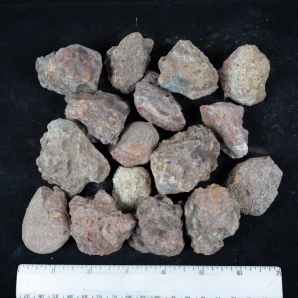 Condor Agate Nodules