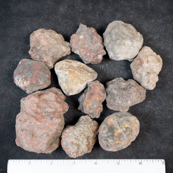 Condor Agate Nodules