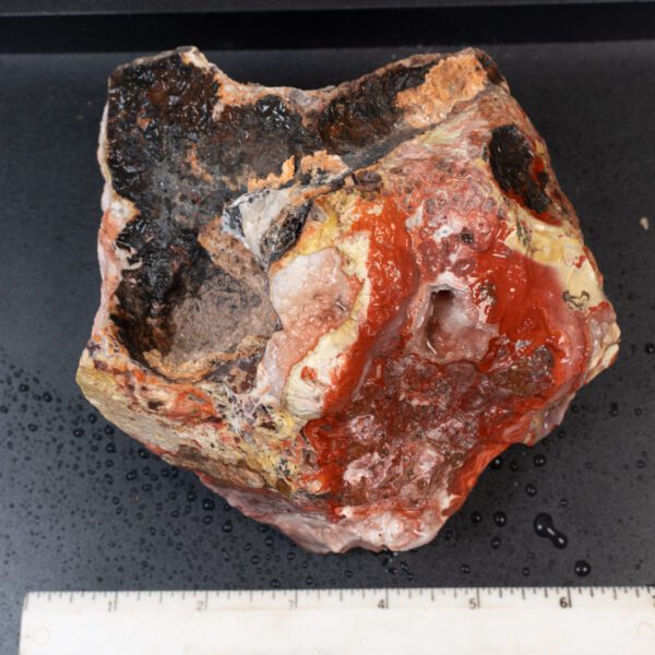 Crazy Lace Agate Rough