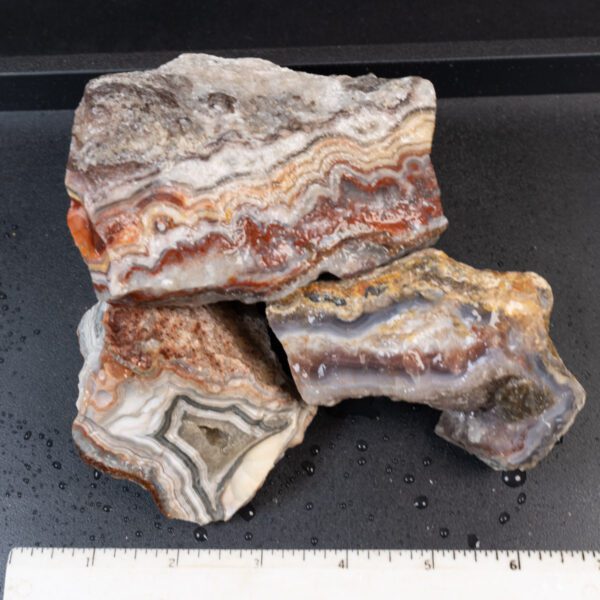 Crazy Lace Agate Rough