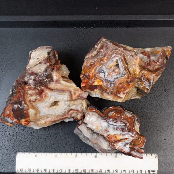 Crazy Lace Agate Rough