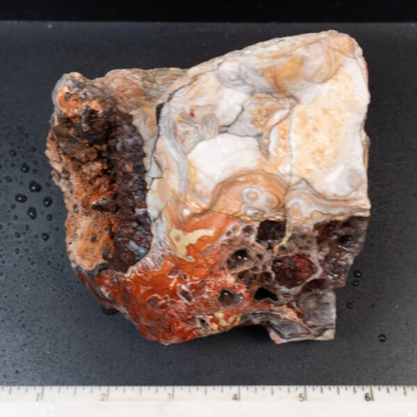 Crazy Lace Agate Rough