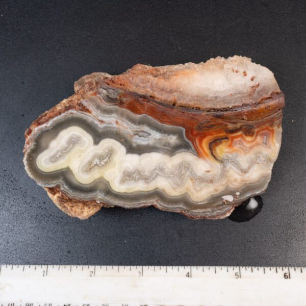 Cut Unpolished Crazy Lace Agate