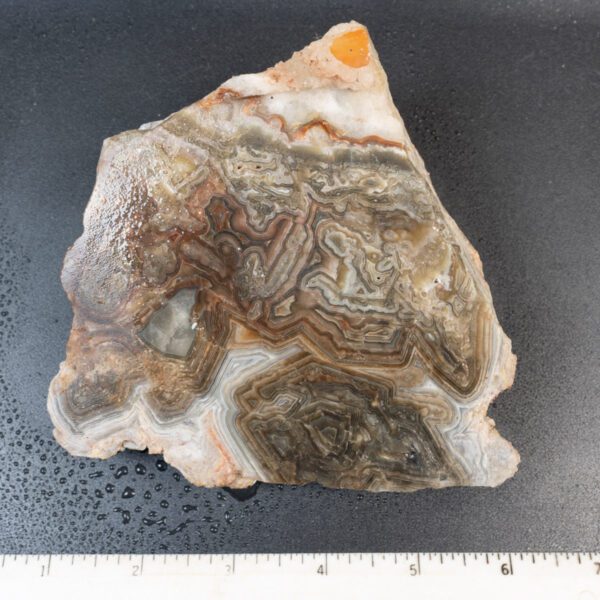 Cut Unpolished Crazy Lace Agate