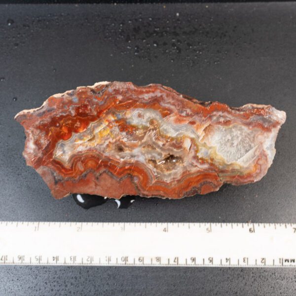 Cut Unpolished Crazy Lace Agate