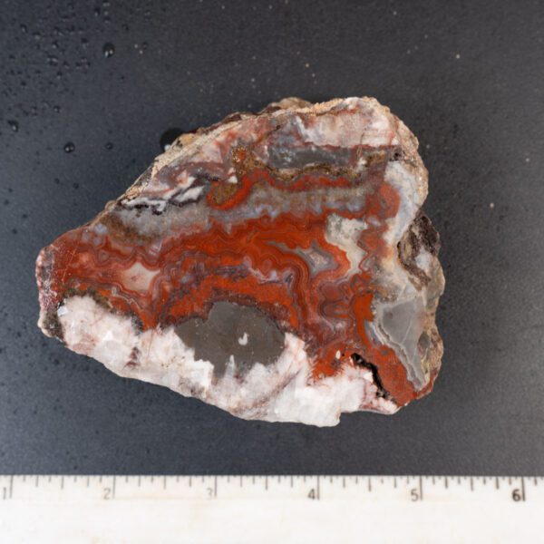 Cut Unpolished Crazy Lace Agate