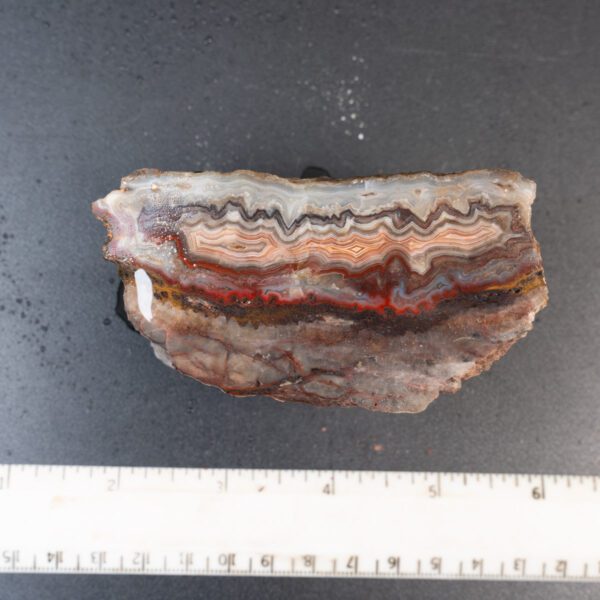 Cut Unpolished Crazy Lace Agate