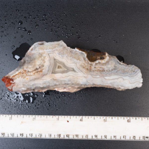 Cut Unpolished Crazy Lace Agate