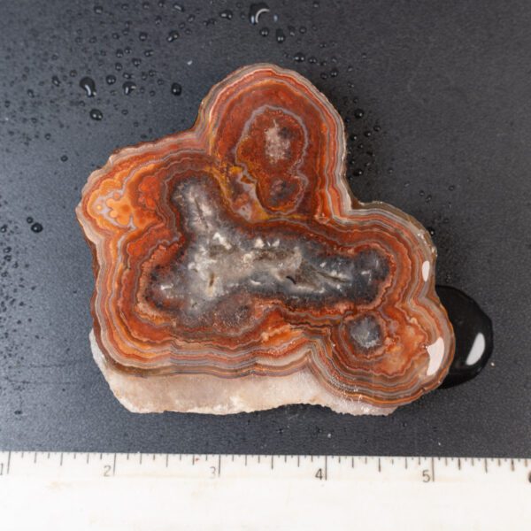 Cut Unpolished Crazy Lace Agate