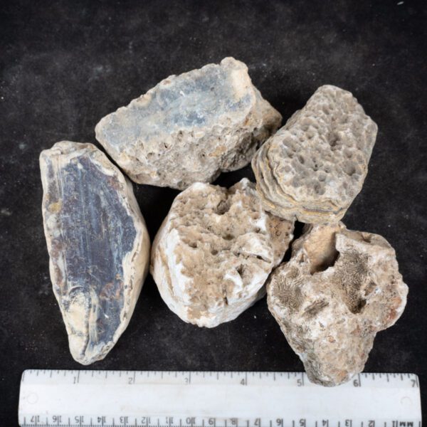 Indonesian Agate Rough