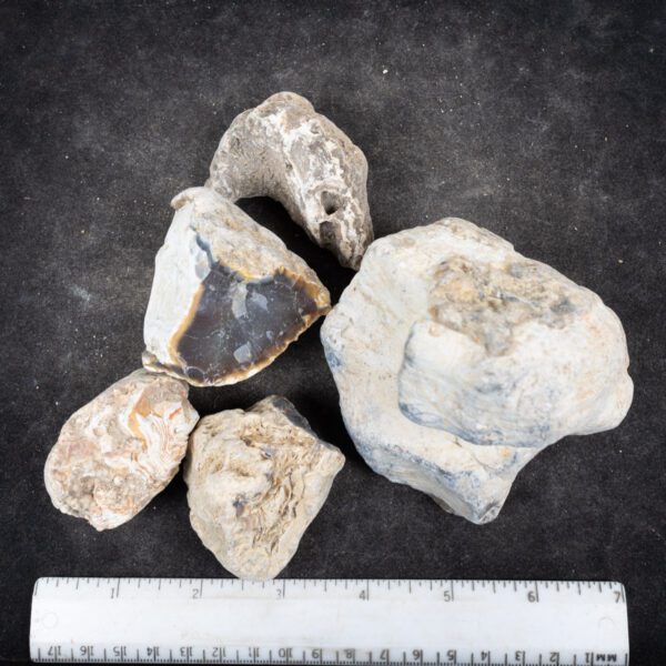 Indonesian Agate Rough
