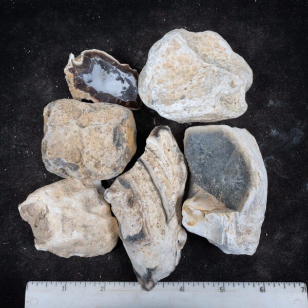 Indonesian Agate Rough
