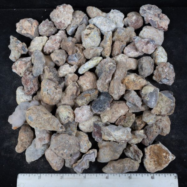 Laguna Agate Nodules