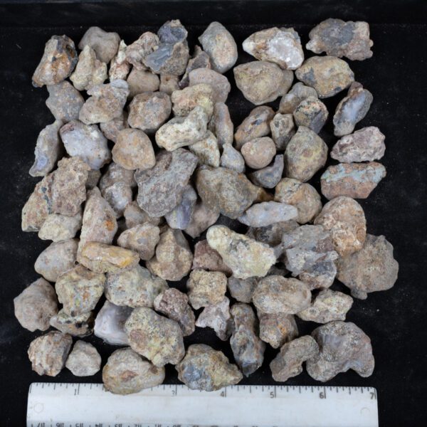 Laguna Agate Nodules