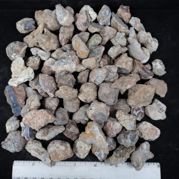 Laguna Agate Nodules