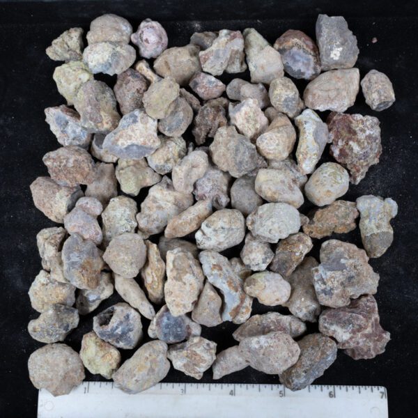 Laguna Agate Nodules