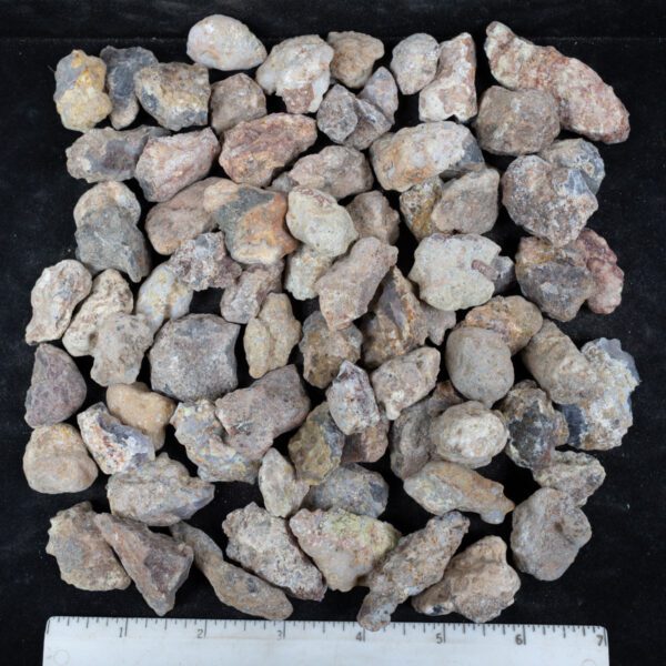 Laguna Agate Nodules