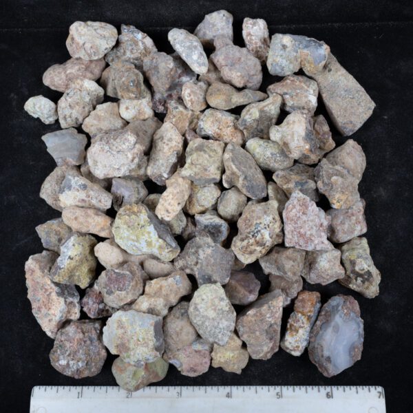 Laguna Agate Nodules