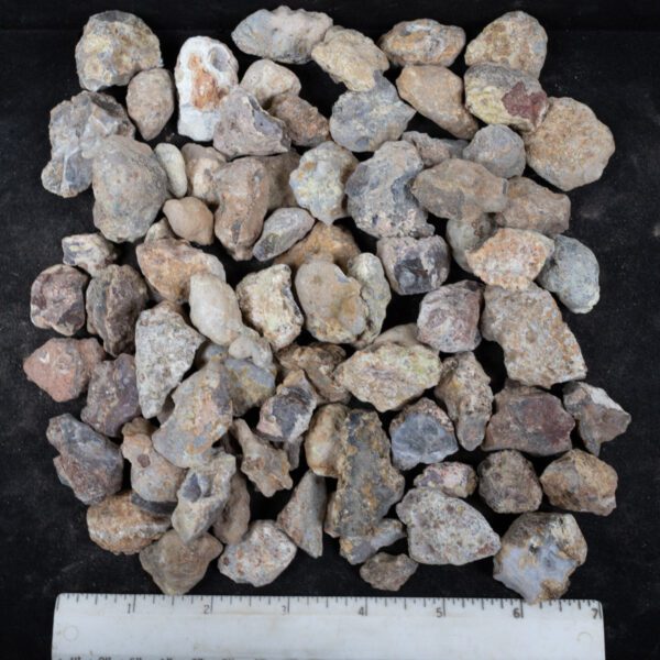 Laguna Agate Nodules