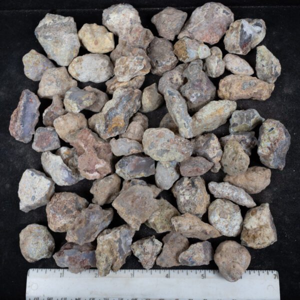 Laguna Agate Nodules