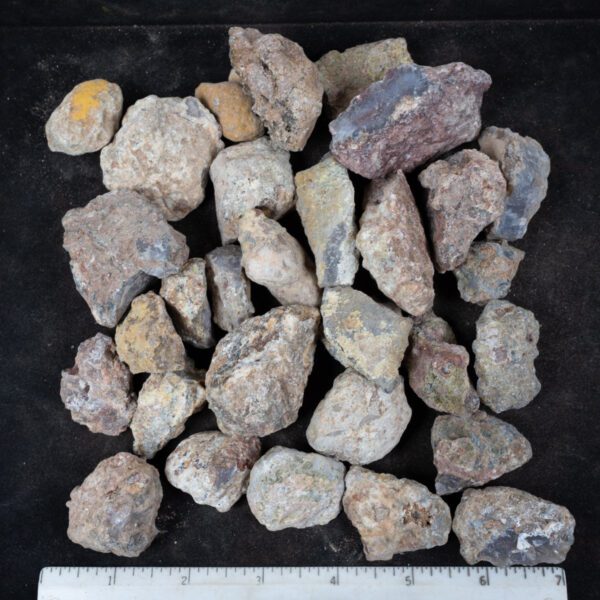 Laguna Agate Nodules