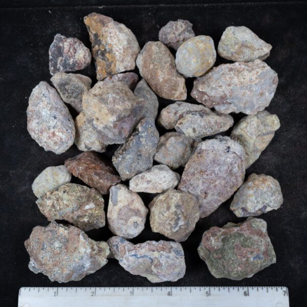 Laguna Agate Nodules