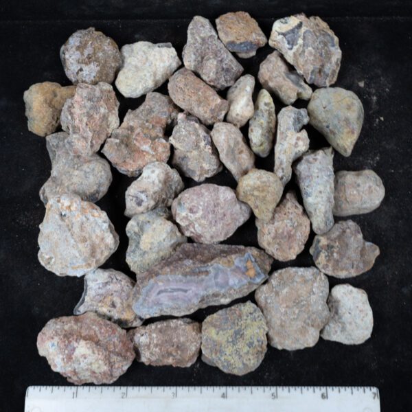 Laguna Agate Nodules