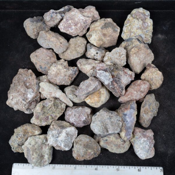 Laguna Agate Nodules