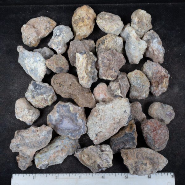 Laguna Agate Nodules