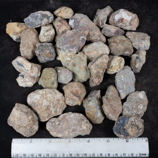 Laguna Agate Nodules