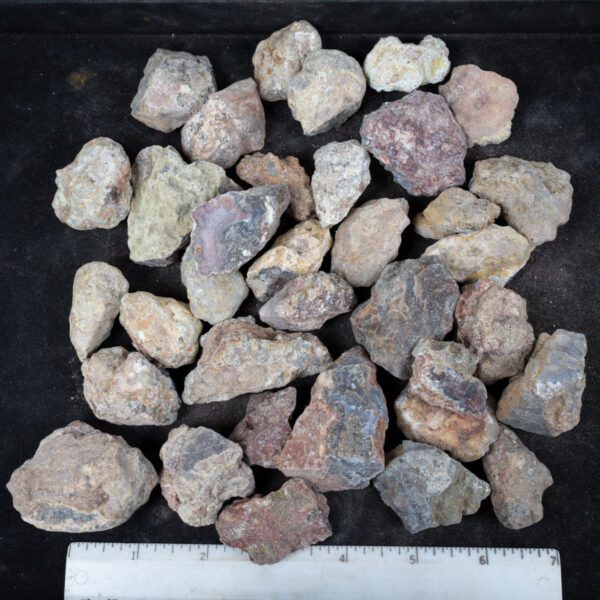 Laguna Agate Nodules