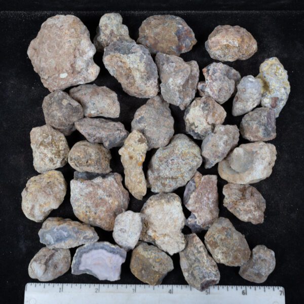 Laguna Agate Nodules