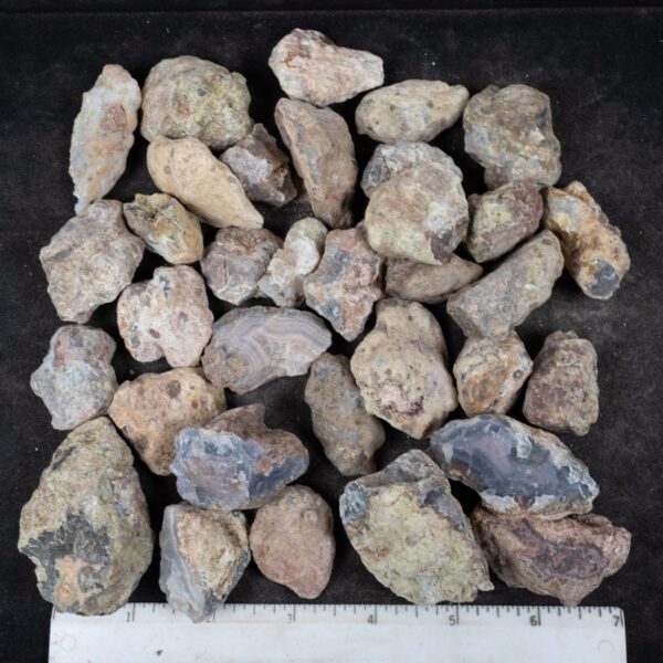 Laguna Agate Nodules