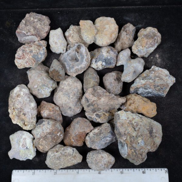 Laguna Agate Nodules