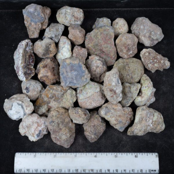 Laguna Agate Nodules