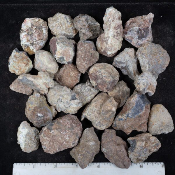 Laguna Agate Nodules