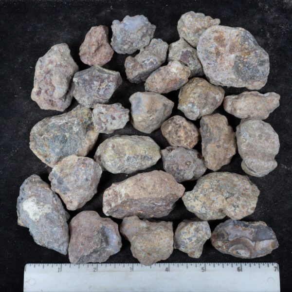 Laguna Agate Nodules