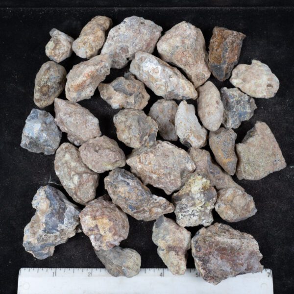Laguna Agate Nodules