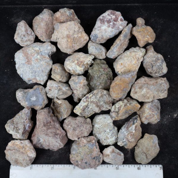 Laguna Agate Nodules
