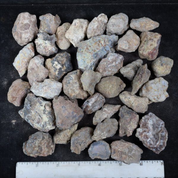Laguna Agate Nodules