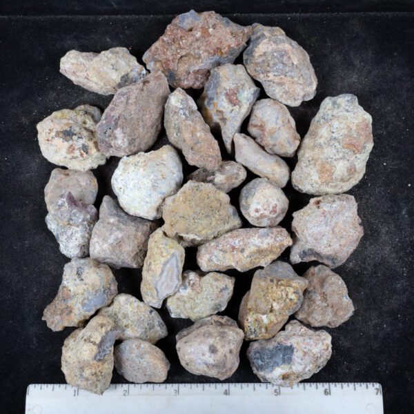Laguna Agate Nodules