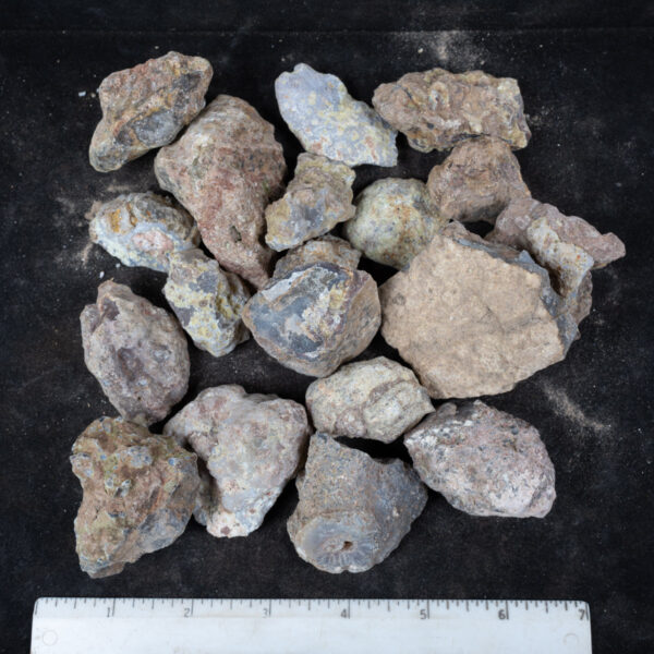 Laguna Agate Nodules