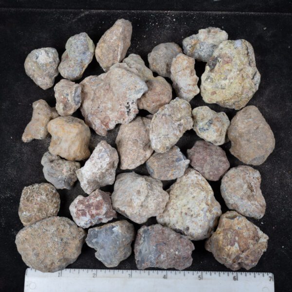 Laguna Agate Nodules
