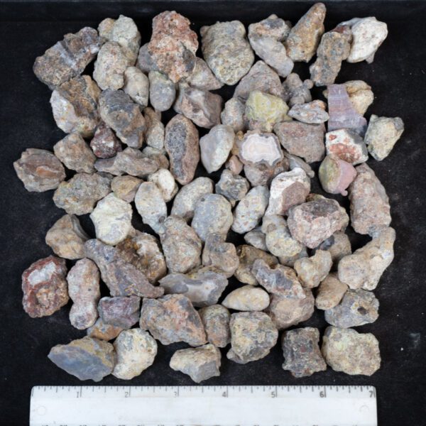 Laguna Agate Nodules