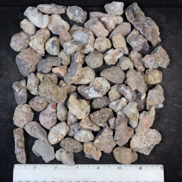Laguna Agate Nodules