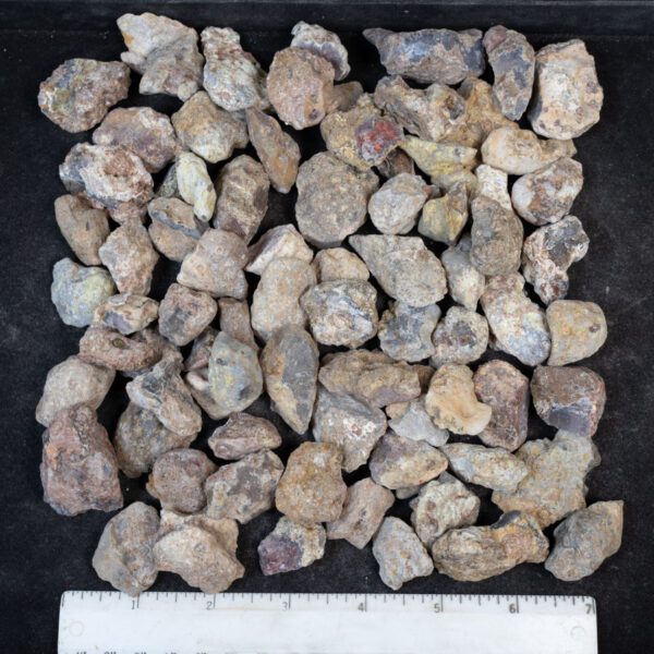 Laguna Agate Nodules