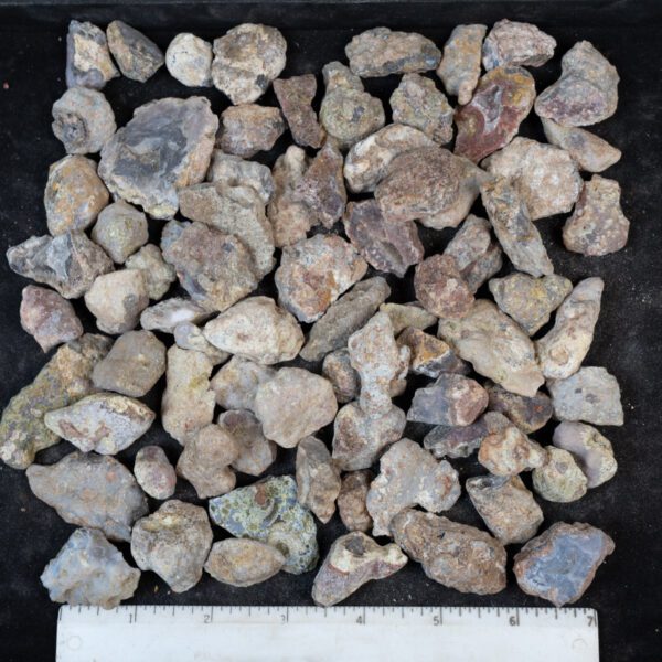 Laguna Agate Nodules